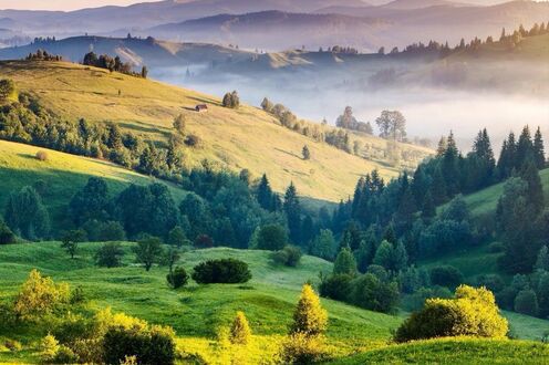 女生温柔到爆的神仙游戏名字(200个) 游戏名字