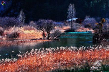 会让男人心动的女生游戏名字 游戏名字