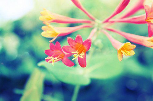 180个女生王者id简单干净 游戏名字