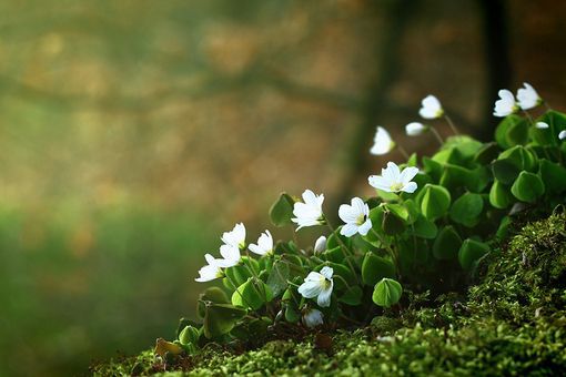 逗比贱贱的英雄联盟游戏名字 游戏名字