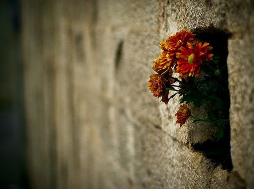 英雄联盟辅助好玩的游戏名字 游戏名字