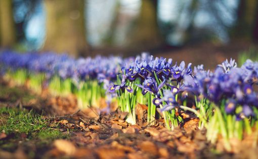 王者荣耀带符号的名字新款 游戏名字