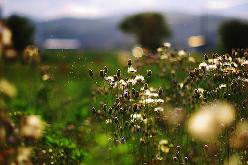 英雄联盟搞笑的游戏名 游戏名字
