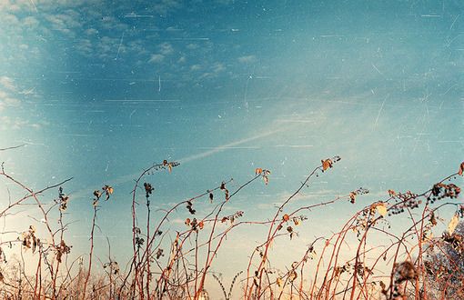 适合男生使用的qq飞车游戏名字 游戏名字