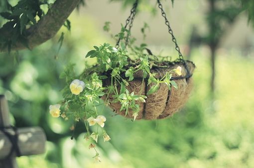 无比霸气的qq飞车游戏名字 游戏名字