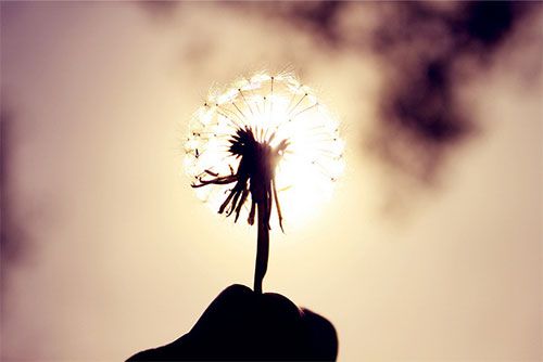 女孩起名大全免费2022属虎的  生肖取名