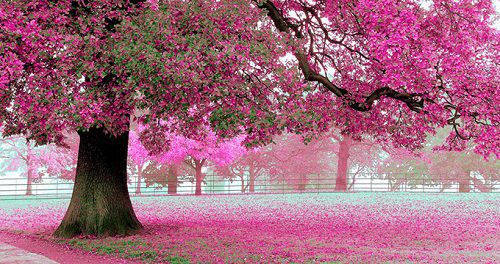 好听稀少的男孩名字虎年  生肖取名