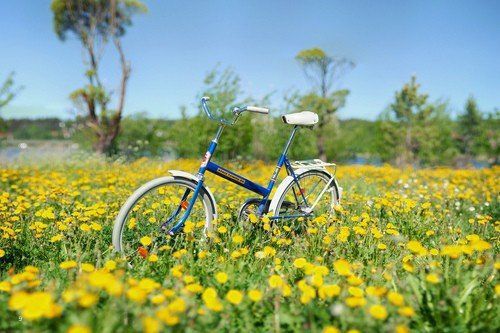 100逗比沙雕的吃鸡名字大全 游戏名字