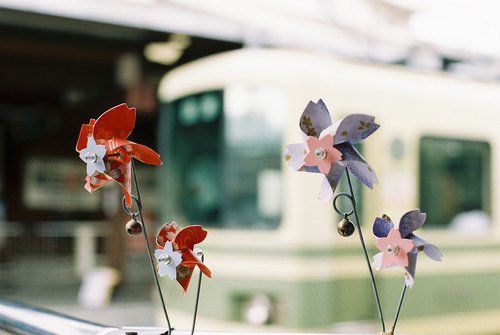 2022年好听稀少的男孩名字属虎  生肖取名