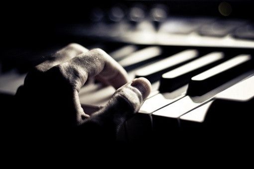 虎年带芮女孩名字  生肖取名