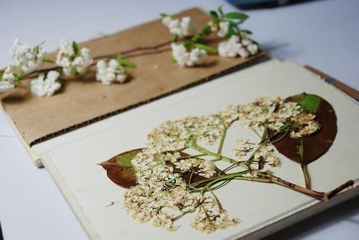 属虎男孩木字旁好听的名字  生肖取名