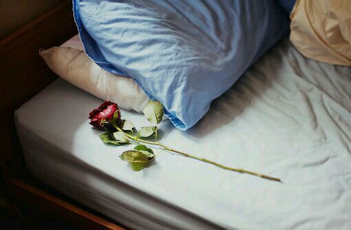 虎宝宝男孩新生儿名字  生肖取名