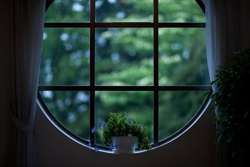 2022年虎宝宝取名字女孩  生肖取名