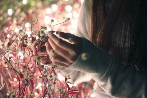 属虎的女孩起什么名字好  生肖取名