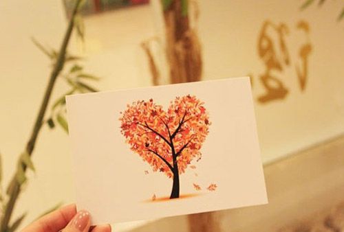 兔年出生宝宝取名宜忌  生肖取名