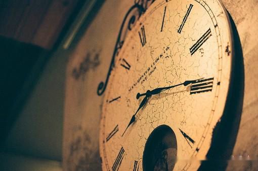 属虎女孩聪明才华横溢的名字  生肖取名