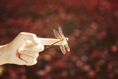 属虎的男孩子取什么名字好  生肖取名