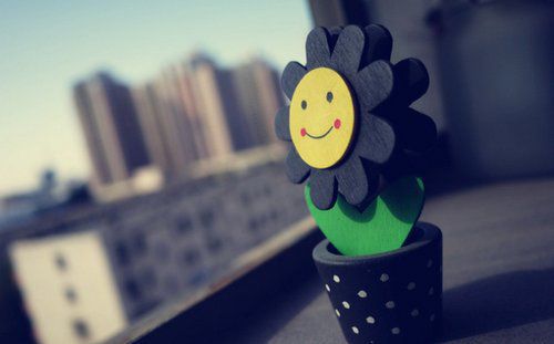 男孩独特少见的名字属虎  生肖取名