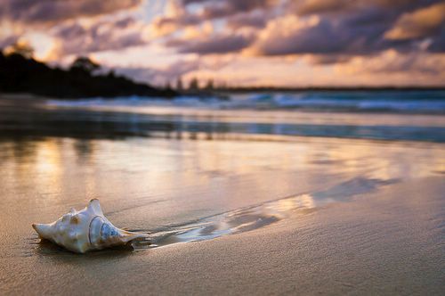 2022属虎男孩分数高的名字  生肖取名