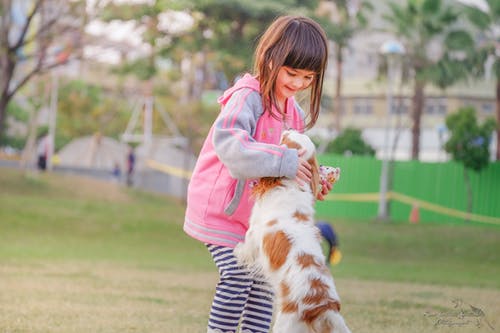 好听的兰姓女孩名字2020鼠年  生肖取名