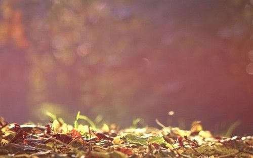 可爱微信昵称大全 微信网名