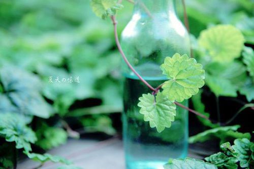 给男朋友的内涵三字唯美备注 微信网名