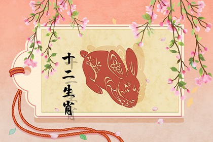 腊月出生的兔宝宝好吗 顺风顺水人缘变好