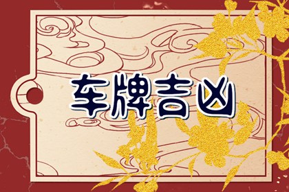 车牌号带两个9好不好 寓意长久桃花运旺