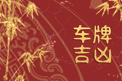 属兔车牌号码幸运字母 选择这些数字的理由