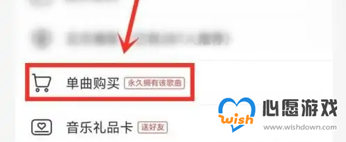 网易云音乐怎么购买单首歌曲 网易云音乐单独购买一首歌方法_wishdown.com 网易云音乐怎么购买单首歌曲 网易云音乐单独购买一首歌方法_wishdown.com