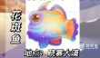 奥比岛花斑鱼钓鱼位置攻略