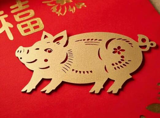 属猪的女人用什么手机号好？解锁旺运手机号的数字奥秘