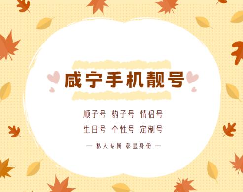 咸宁联通手机靓号16608621606 吉祥号码寓意天降幸运立志奋发