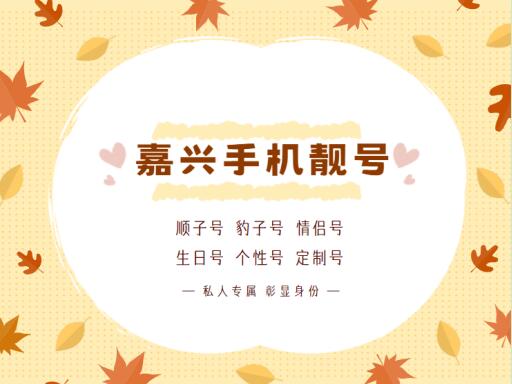 嘉兴联通手机号码13175567893 靓号规律ABCDE极品小靓号
