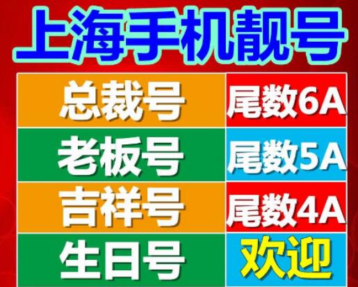 上海联通手机号码13020191004 生日靓号万事相宜千般吉愿