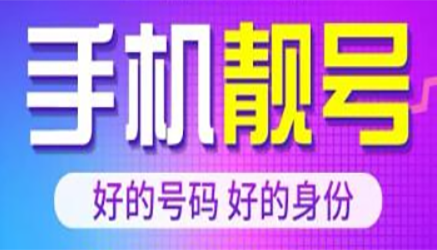 海口手机风水靓号19943391193 力行不懈终必成功