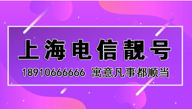 上海电信靓号18910666666 寓意凡事都顺当