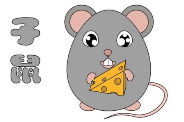属鼠的用什么手机号吉利 尾号用什么数字好