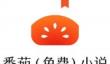番茄小说怎么写小说？
