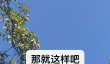 值得推荐的通话App有哪些｜功能强大且支持通话录音编辑的实用工具