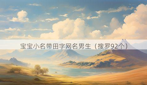 宝宝小名带田字网名男生有哪些