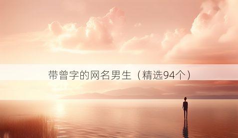 带曾字的网名男生有哪些