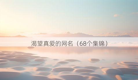 渴望真爱的网名有哪些