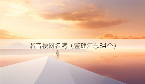 谐音梗网名鸭有哪些