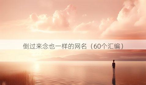 倒过来念也一样的网名有哪些