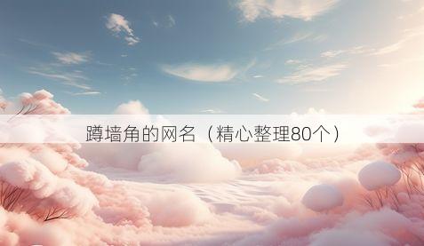 蹲墙角的网名有哪些