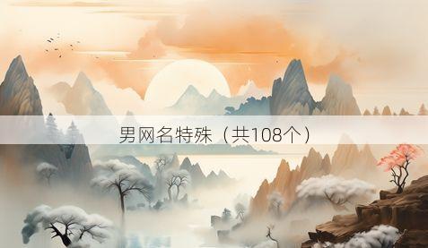 男网名特殊有哪些