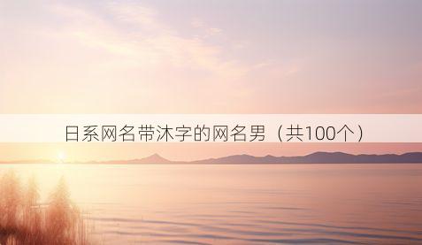 日系网名带沐字的网名男有哪些
