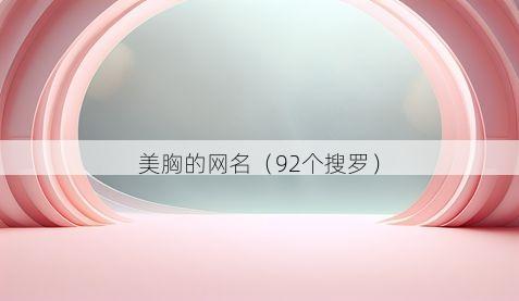美胸的网名有哪些