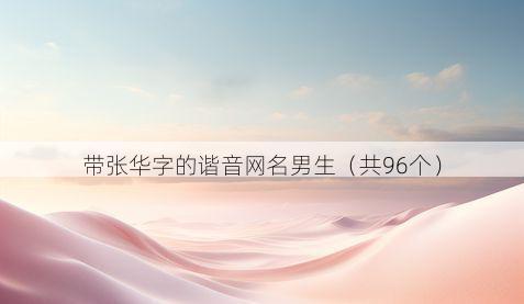 带张华字的谐音网名男生有哪些